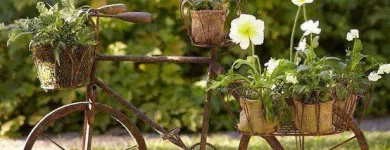 Business 27 image SOULSCAPE Landscaping in Auckland NTL