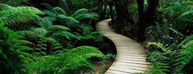 Business 36 image SOULSCAPE Landscaping in Auckland NTL