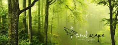 Business 38 image SOULSCAPE Landscaping in Auckland NTL