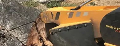 Business 3 image TREE FACTOR LTD Tree Services in Auckland City AUK