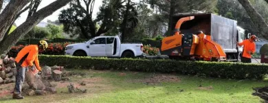 Business 7 image TREE FACTOR LTD Tree Services in Auckland City AUK