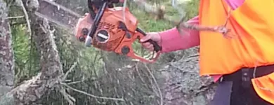 Business 4 image TREE MACHINE SERVICES Tree Services in New Plymouth TKI