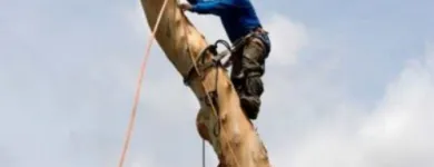 Business 1 image WELLINGTON TREE REMOVAL Tree Services in Wellignton WGN