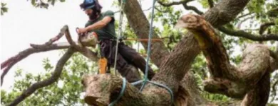 Business 2 image WELLINGTON TREE REMOVAL Tree Services in Wellignton WGN