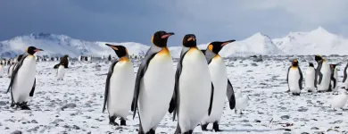 Business 6 image WORLD JOURNEYS Travel Agents in Auckland NTL