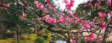 Business 7 image WORLD JOURNEYS Travel Agents in Auckland NTL