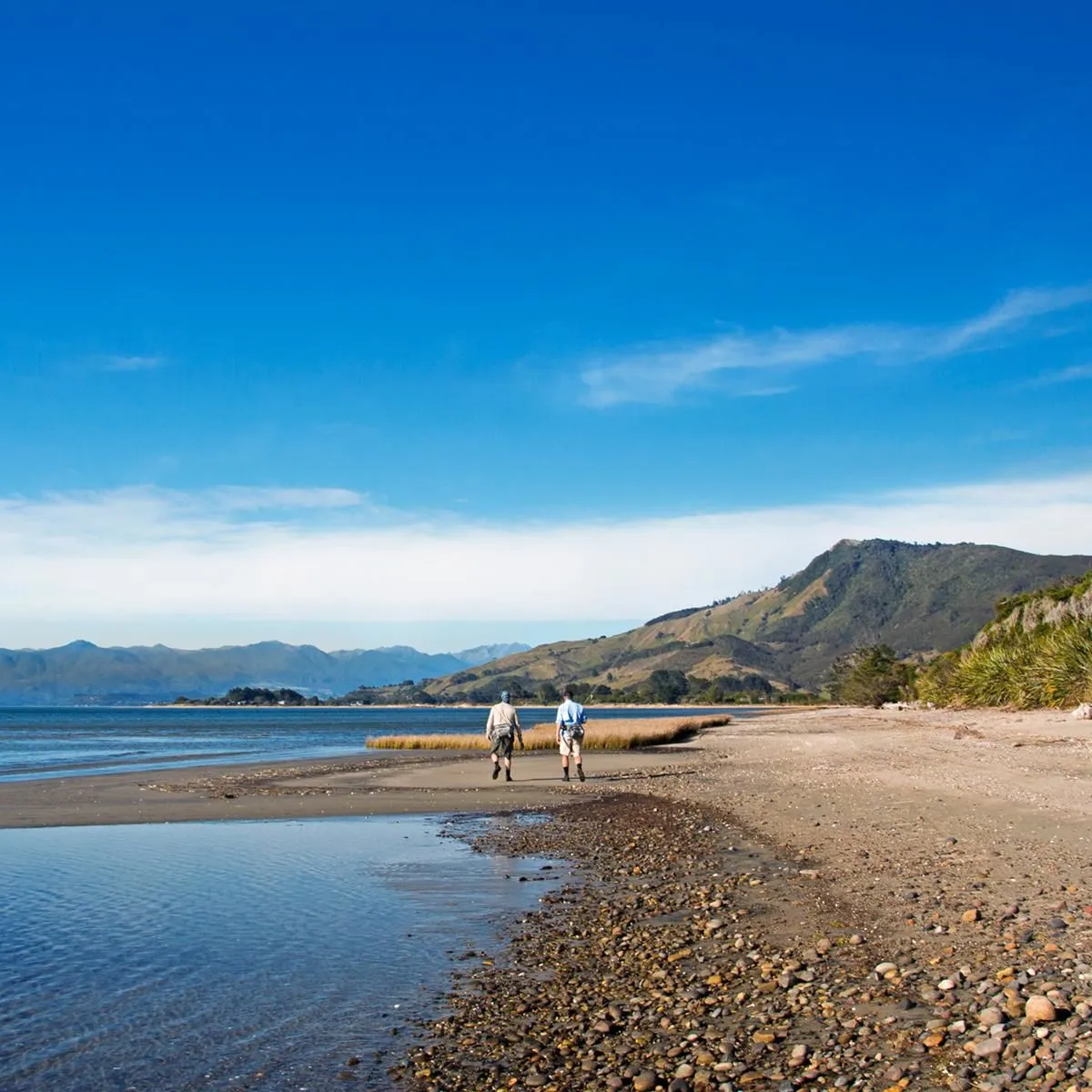 Business 6 image COMPLETE ANGLER