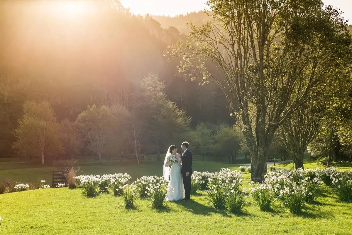 Business 3 image WELLINGTON WEDDING PHOTOGRAPHER - VON PHOTOGRAPHY