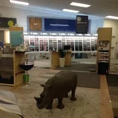 Business 2 image CARPET COURT WAIRAU PARK