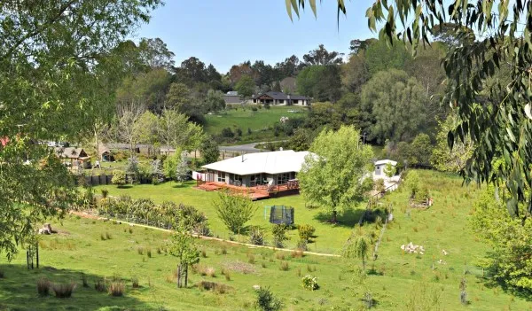 Business 2 image SURVEY GISBORNE LTD