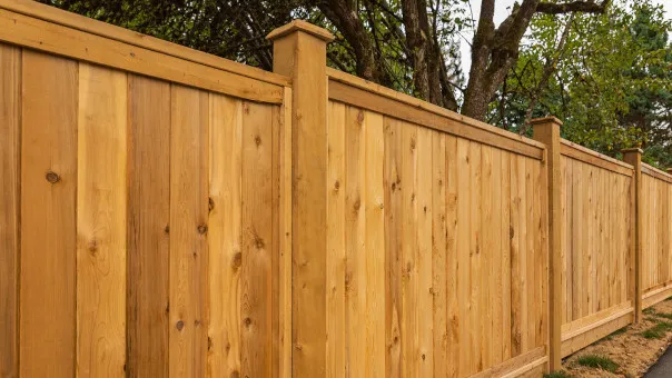 Business 1 image REAL FENCING HAWKES BAY
