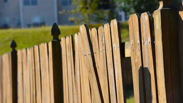 Business 2 image REAL FENCING HAWKES BAY