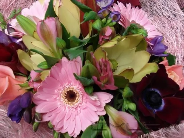 Business 5 image COUNTRY FLORAL & GIFTS