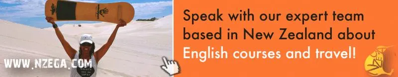 Business 3 image NZEGA EDUCATION AND TRAVEL