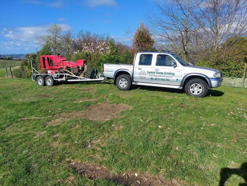 Business 2 image MATT SELLERS