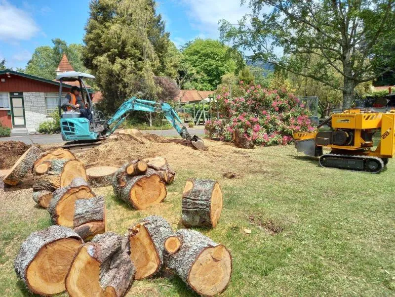 Business 3 image MATT SELLERS