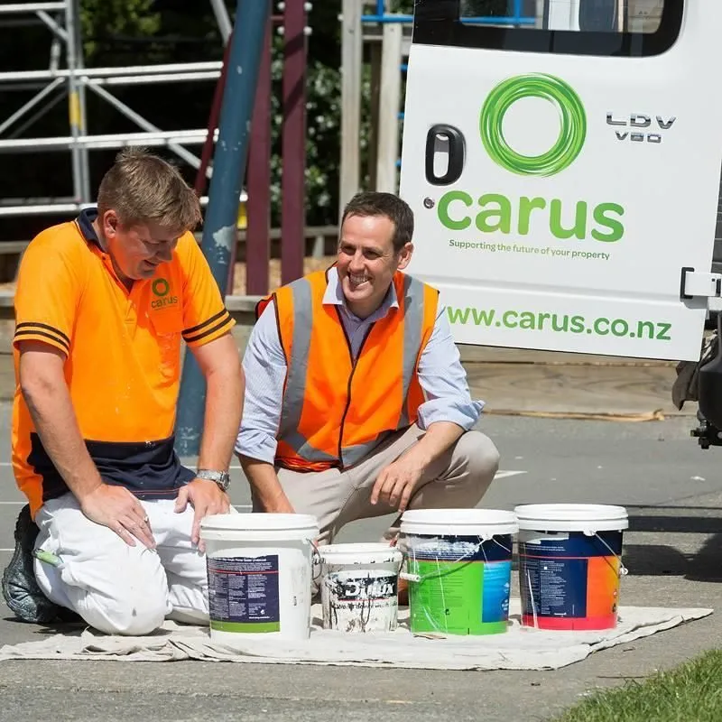 Business 1 image CARUS