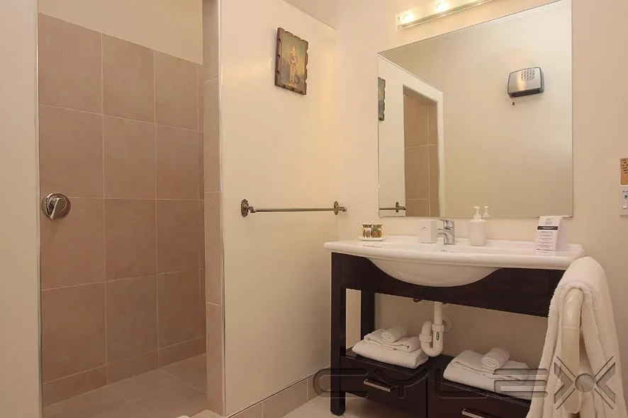 Business 2 image ELIZA'S MANOR BOUTIQUE HOTEL