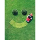 LAWN SPECIALISTS