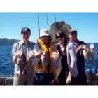 BLOMKAMP COX SOLICITORS